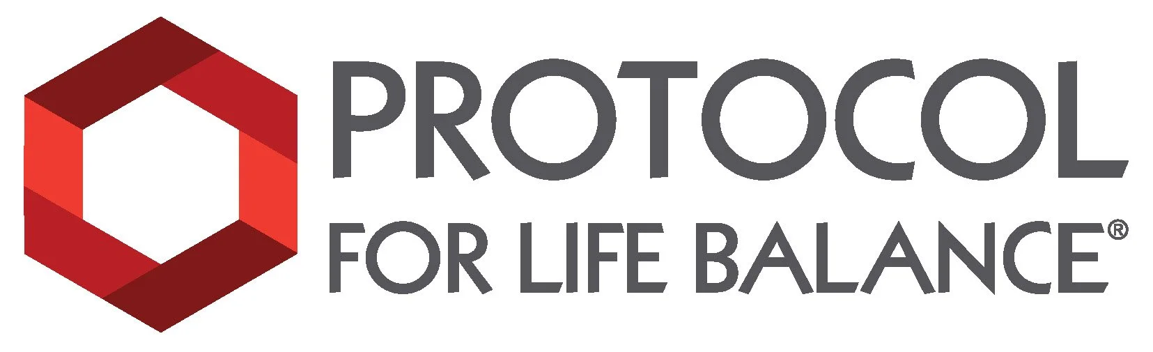 Protocol Logo Protocol Logo