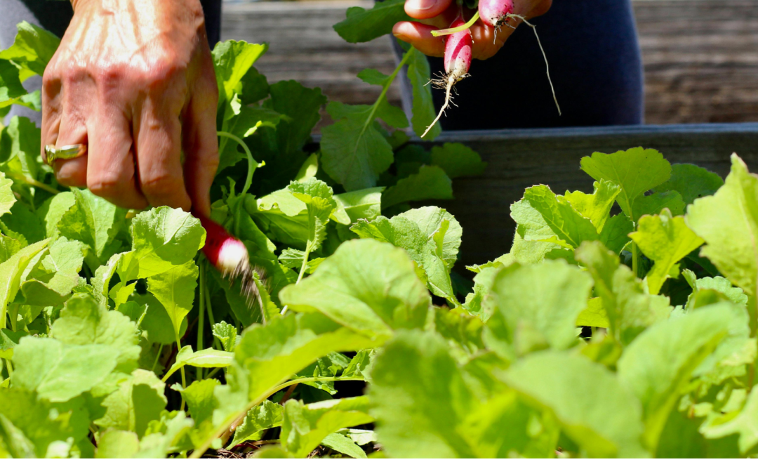 When Did We Give Our Health Away?