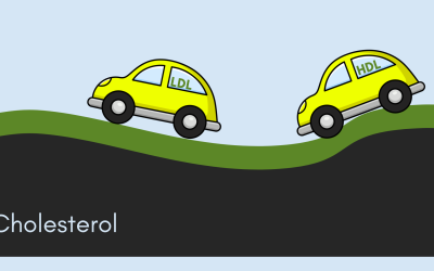 Understanding Cholesterol: What Your Lipid Panel May Be Missing