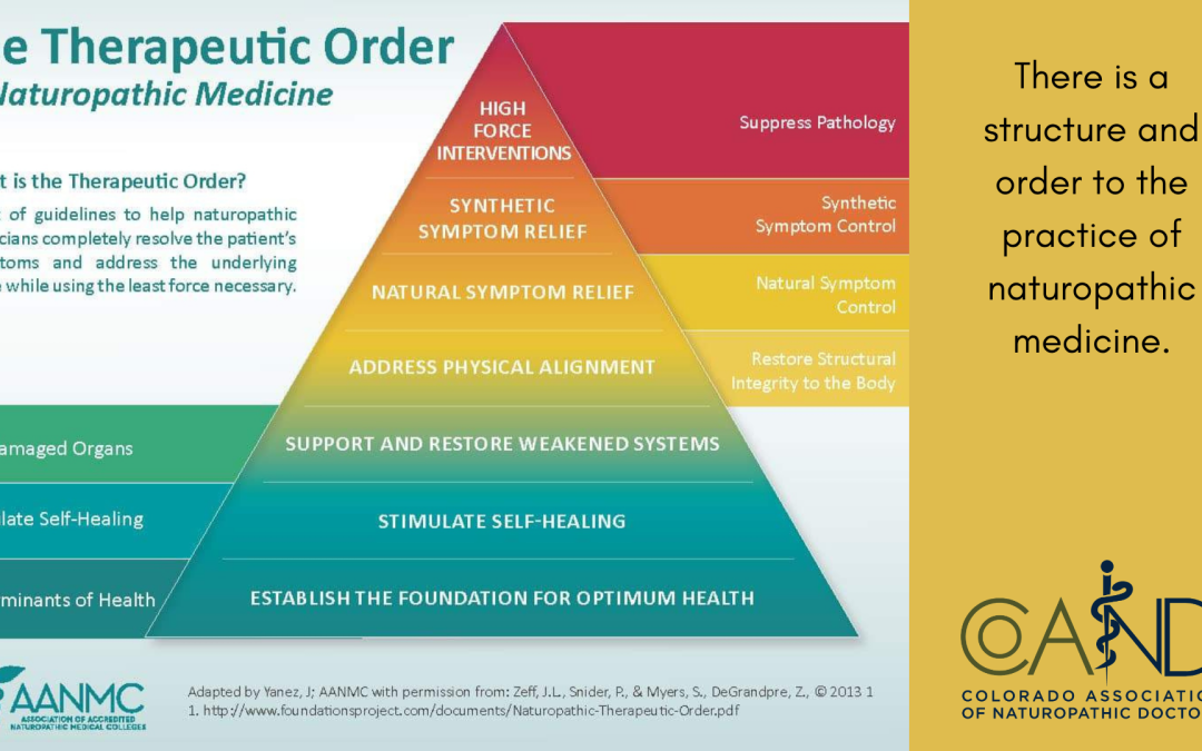 Naturopathic Medicine Isn’t a Mystery. It’s a Method