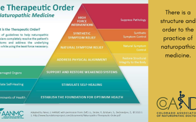 Naturopathic Medicine Isn’t a Mystery. It’s a Method
